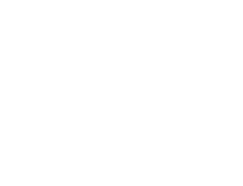 Holi coats white